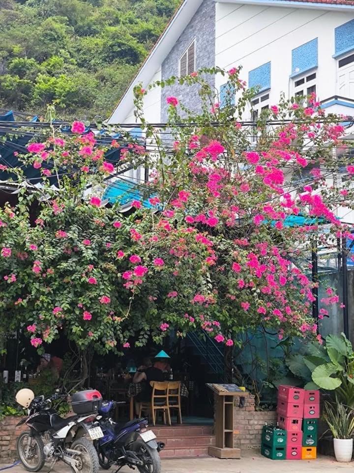 Phong Nha Jasmine Hostel & Roof Top Bar Eksteriør billede